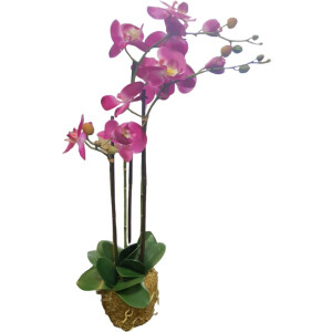 Mica Decorations Kunstplant Phalaenopsis paars 30x18x76cm