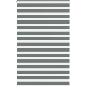 vidaXL - Zebra - rolgordijn - 140x200 - cm - stofbreedte - 135,9 - cm - donkergrijs