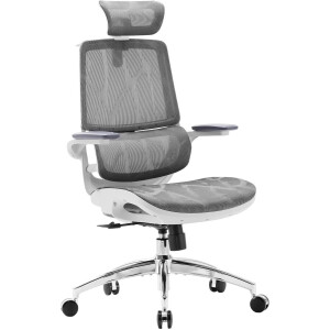 SIHOO M59 Ergonomische Bureaustoel - 3D Opklapbare Armleuningen - Dubbel Rugleuningontwerp en Dynamische Lendensteun - Kantoor/Thuis/Gaming - Grijs
