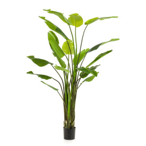 Emerald - Kunstplant Strelitzia Nicolai 235cm - Kunstplant voor binnen