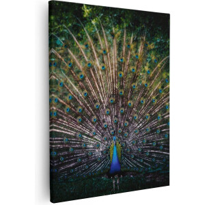 Artaza Canvas Schilderij Pauw - 40x50 cm - Wanddecoratie Woonkamer - Muurdecoratie Vogel - Kamer Accessoires