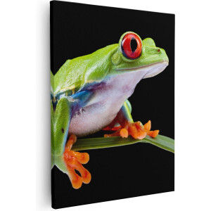 Artaza - Canvas Schilderij - Kikker met Rode Ogen op een Plant - 40x50 - Foto Op Canvas - Canvas Print