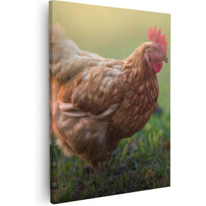 Artaza Canvas Schilderij Kip - 80x100 cm - Groot - Wanddecoratie Dieren - Muurdecoratie Boerderij - Schilderijen Op Canvas