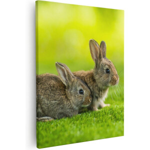 Artaza - Canvas Schilderij - Twee Konijnen Op Het Groene Gras - 80x100 - Groot - Foto Op Canvas - Canvas Print