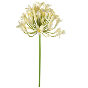 Emerald - Kunstbloem Agapanthus 75cm wit - Kunstplant voor binnen