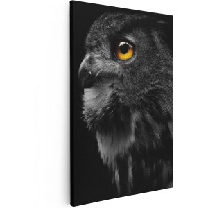 Artaza Canvas Schilderij Zwarte Uil Met Gouden Ogen  - 80x120 - Groot - Foto Op Canvas - Canvas Print