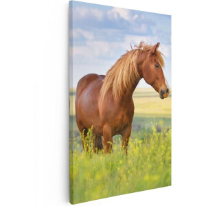 Artaza Canvas Schilderij Paard In Weiland - 20x30 cm - Klein - Wanddecoratie Dieren - Muurdecoratie Woonkamer - Kamer Accessoires Natuur