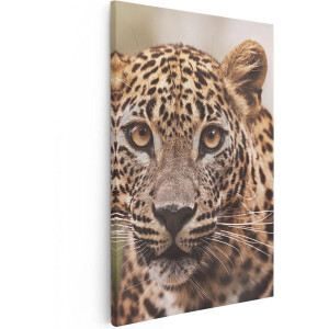 Artaza Canvas Schilderij Luipaard Van Dichtbij Met Grote Ogen - 60x90 - Foto Op Canvas - Canvas Print