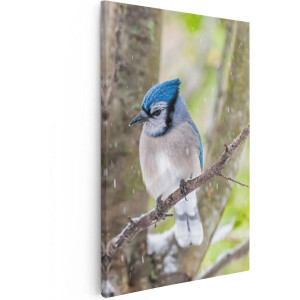 Artaza Canvas Schilderij Blauwe Gaai Vogel In De Sneeuw - 40x60 - Poster Foto op Canvas - Canvas Print