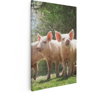 Artaza Canvas Schilderij Varken - 60x90 cm - Wanddecoratie Biggetjes - Muurdecoratie Boerderijdieren - Schilderijen Op Canvas