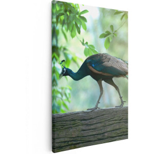 Artaza Canvas Schilderij Pauw Loopt Op Een Tak In De Natuur - 80x120 - Groot - Foto Op Canvas - Canvas Print
