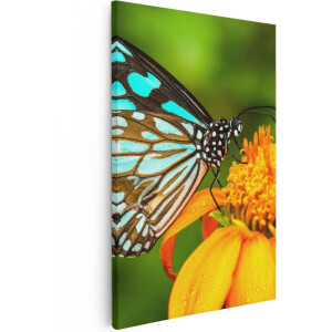 Artaza Canvas Schilderij Blauwe Vlinder Bij Een Oranje Bloem - 40x60 - Poster Foto op Canvas - Canvas Print