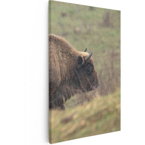 Artaza Canvas Schilderij Bizon in het Gras - 40x60 - Poster Foto op Canvas - Canvas Print