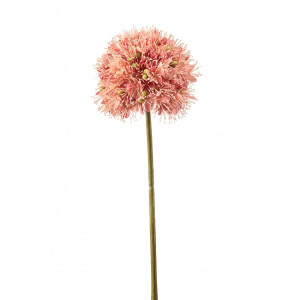 Fleurdirect Kunstbloem Allium - Kunststof - Roze - 0 x 63 x 0 cm (BxHxD)