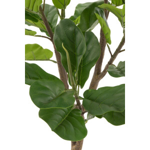 J-Line Vioolbladplant - kunststof - groen