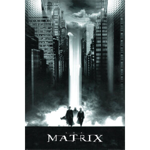 The Matrix Lightfall Poster 61x91.5cm