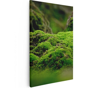 Artaza Canvas Schilderij Groen Mos - 40x60 - Poster Foto op Canvas - Canvas Print