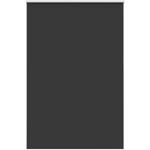 vidaXL - Rolgordijn - verduisterend - 160x210 - cm - stofbreedte - 156,6 - cm - zwart