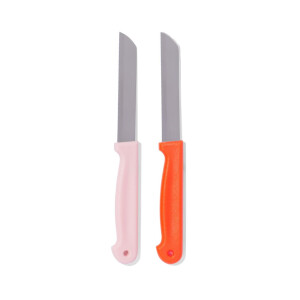 HEMA HEMA Tomatenmesjes Rvs - 2 Stuks