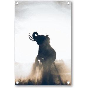 Olifant in Rijstveld - Tuinposter 60x90 - Wanddecoratie - Dieren
