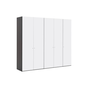Goossens Kledingkast Easy Storage Ddk, Kledingkast 253 cm breed, 220 cm hoog, 5x glas draaideur