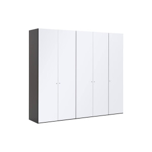 Goossens Kledingkast Easy Storage Ddk, Kledingkast 253 cm breed, 220 cm hoog, 5x glas draaideur