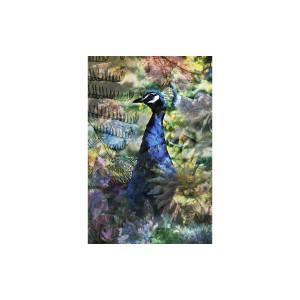 Goossens Schilderij Proud Peacock, 148 x 98 cm