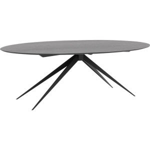 Goossens Excellent Eettafel Ferris, Ovaal 260 x 130 cm