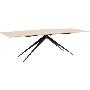 Goossens Excellent Eettafel Ferris, Rechthoekig 260 x 100 cm