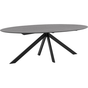 Goossens Excellent Eettafel Ferris Piramide Poot, Ovaal 240 x 130 cm