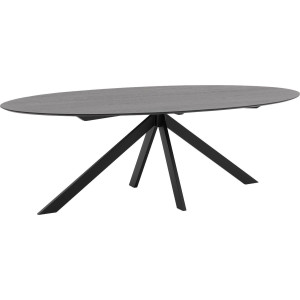 Goossens Excellent Eettafel Ferris Piramide Poot, Ovaal 260 x 130 cm