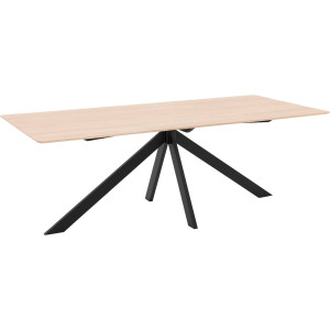 Goossens Excellent Eettafel Ferris Piramide Poot, Rechthoekig 220 x 100 cm