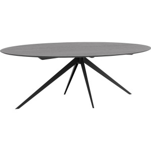 Goossens Excellent Eettafel Ferris Piramide Poot, Ovaal 260 x 130 cm