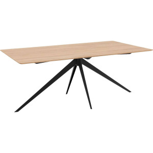 Goossens Excellent Eettafel Ferris Piramide Poot, Rechthoekig 180 x 100 cm