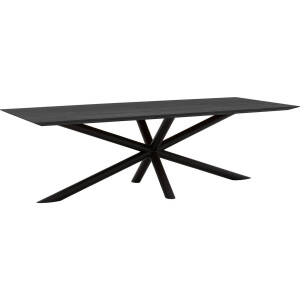 Goossens Excellent Eettafel Gs-1302, 260 x 110 cm rechthoekig