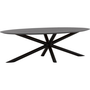 Goossens Excellent Eettafel Gs-1302, Ovaal 260 x 130 cm
