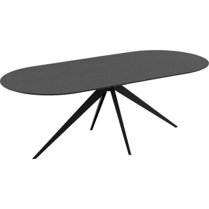 Goossens Excellent Eettafel Uniek, Semi rond 220 x 100 cm