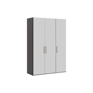 Goossens Kledingkast Easy Storage Ddk, Kledingkast 153 cm breed, 220 cm hoog, 3x glas draaideur