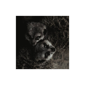 Goossens Schilderij Wild Life, 74 x 74 cm
