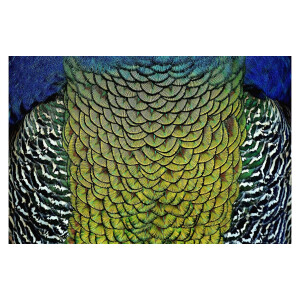 Goossens Schilderij Wonderful Life, 148 x 98 cm