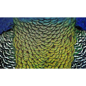 Goossens Schilderij Wonderful Life, 118 x 70 cm