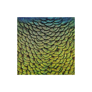 Goossens Schilderij Wonderful Life, 74 x 74 cm