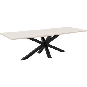 Goossens Eettafel Stone, Rechthoekig 250 x 110 cm