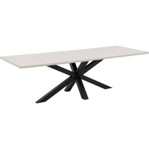 Goossens Eettafel Stone, Rechthoekig 250 x 110 cm