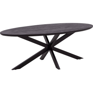 Goossens Eettafel Nilo, Ovaal 210 x 100 cm