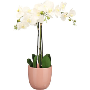 Orchidee kunstplant wit - 75 cm - inclusief bloempot lichtroze glans - Kunstbloemen in pot