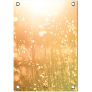 Label2X Tuinposter bright sun
