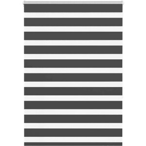 vidaXL - Zebra - rolgordijn - 95x150 - cm - stofbreedte - 90,9 - cm - zwart