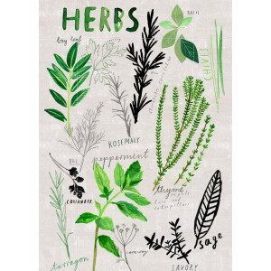 IXXI Herbs, Signorinah - 100 x 140 cm - Gratis ophangtool - Grote wanddecoratie en posters - Illustraties, Speels, Woonkamer, Eetkamer, Keuken