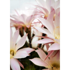 IXXI Belle de Jour, Angelo Cerantola - 100 x 140 cm - Gratis ophangtool - Grote wanddecoratie en posters - Naturalisme, Fotografie, Slaapkamer